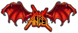 Dark Angel Guitar Pick Picks