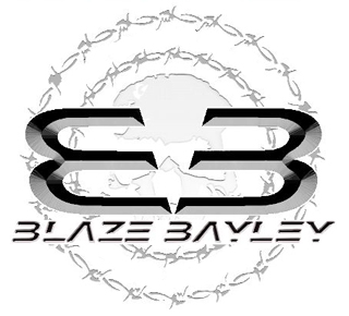 Blaze Bayley Guitar Pick Picks