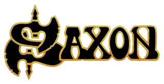 Saxon Guitar Pick Picks