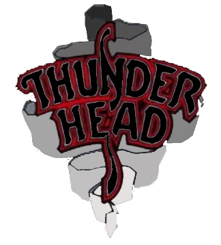 Thunderhead Guitar Pick Picks